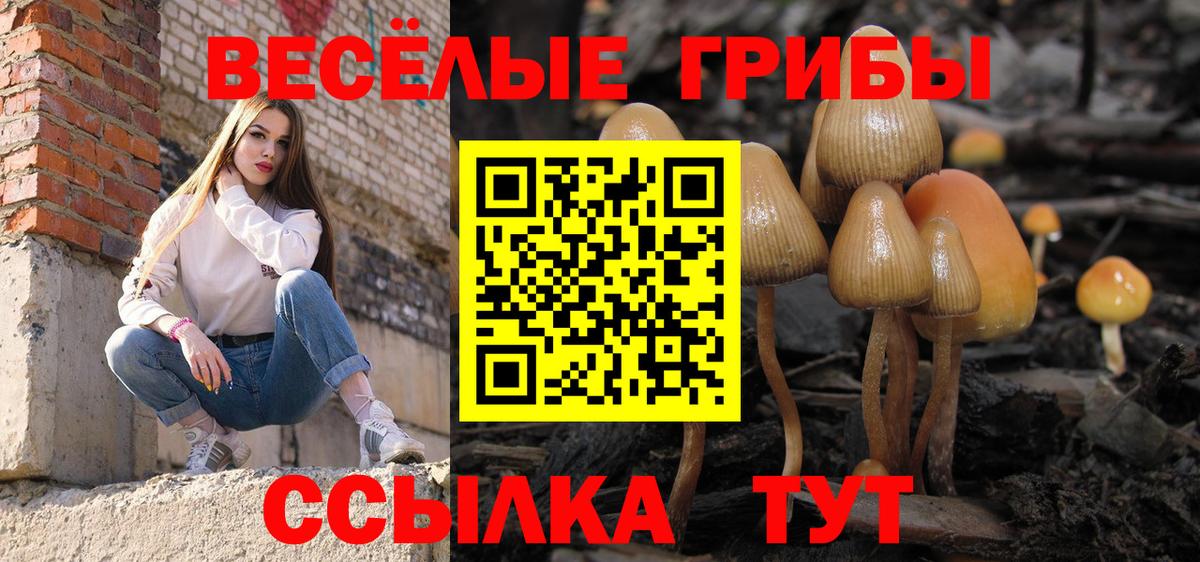 Галлюциногенные грибы Cubensis Выкса